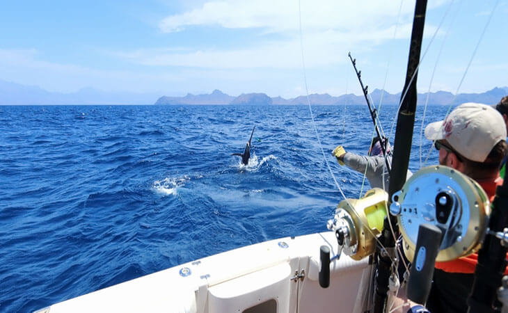 Saltwater Fishing Tips for Beginners